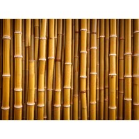 Bamboo Edible Image #04 - A4