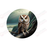 Owl  Edible Image #01 - Round