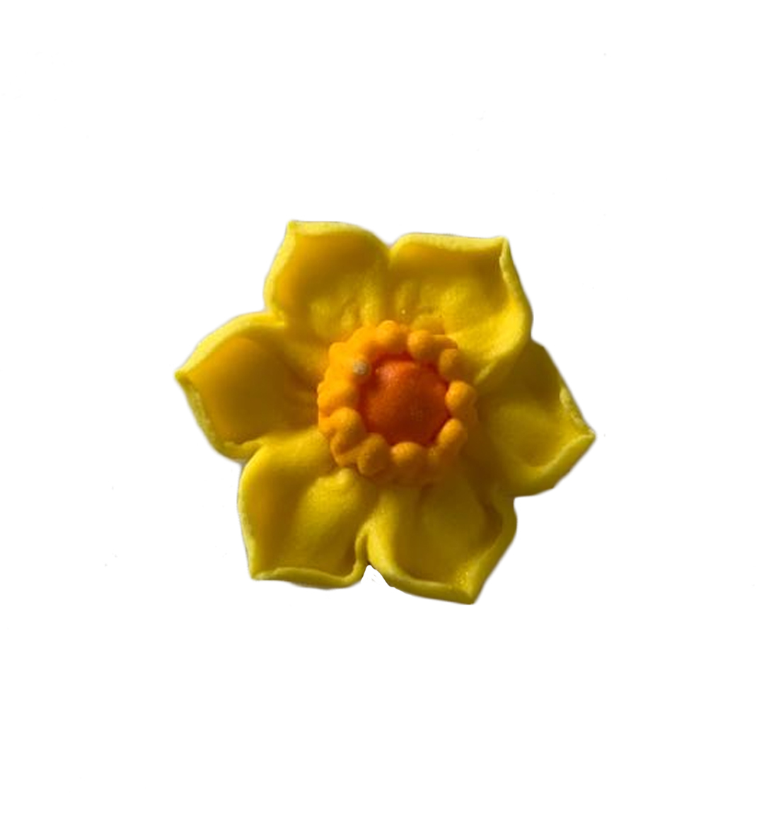 Kitchen Domain Edible Daffodil 3cm