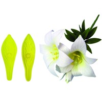 St Josephs Lily & Star Gazer Lily Set