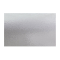 20 x14 Inch Oblong Silver 2mm Disc