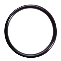 Inoxriv Replacement Seal Rings