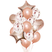 Balloons Rose Gold Set 14pc