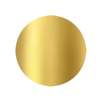 8 Inch Round Gold 2mm Disc