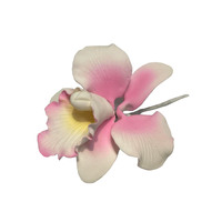 Catleya Orchid Pink Small