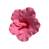 Hibiscus Pink Flower Small