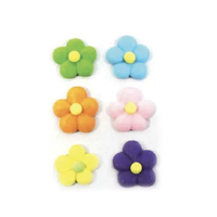 Flower Power 6pk Assorted
