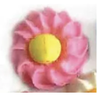 Daisy Swirl Pink