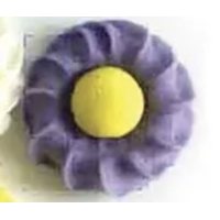 Daisy Swirl Purple