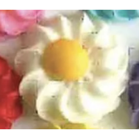 Daisy Swirl White