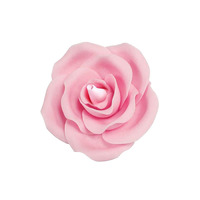 Single Large Pink Rose