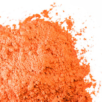 Barco Red Label Powder Food Colour Paint Or Dust 10ml - Apricot