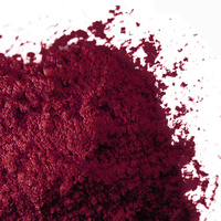 Barco Red Label Powder Food Colour Paint Or Dust 10ml - Plum