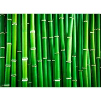 Bamboo Edible Image #03 - A4