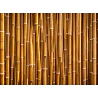 Bamboo Edible Image #05 - A4