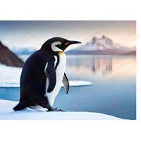 Penguin Edible Image #01 - A4