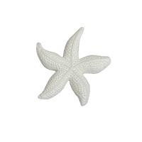 Fondant Starfish White