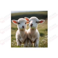 Lambs Edible Image #02 - Square