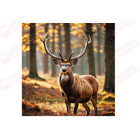 Stag/Deer Edible Image #01 - Square