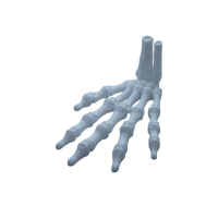 Skeleton Hand Decoration 9cm