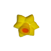 Daffodil Compressed Sugar Decoration