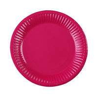 9in Paper Plates Hot Pink 10PK