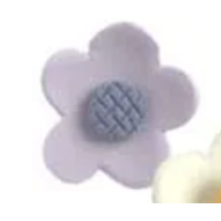 Purple Edible Daisy