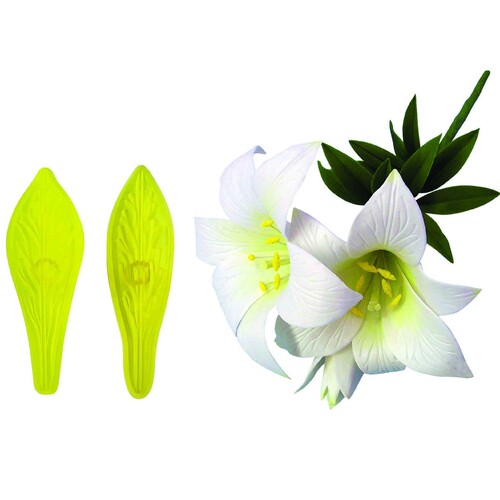 St Josephs Lily & Star Gazer Lily Set