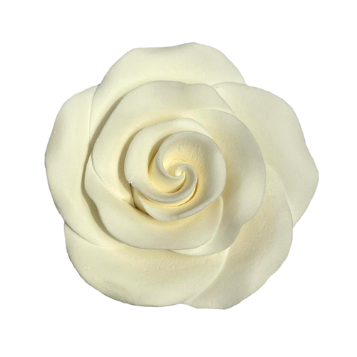  Rose White 6cm