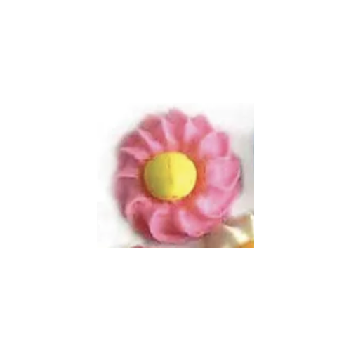 Daisy Swirl Pink
