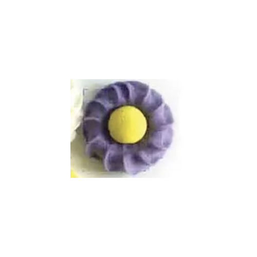 Daisy Swirl Purple