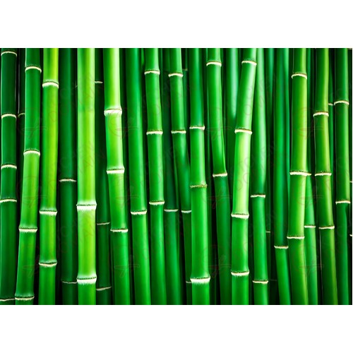 Bamboo Edible Image #03 - A4