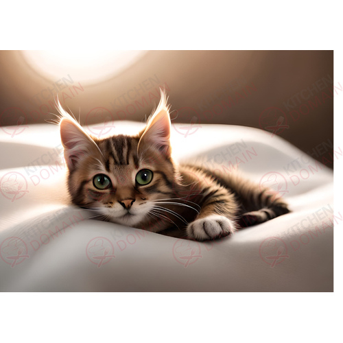 Kitten Edible A4 Image - #07