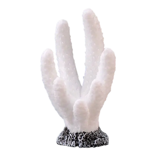 White Coral  Decoration