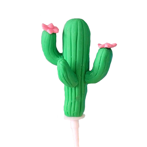 Cactus Cake topper