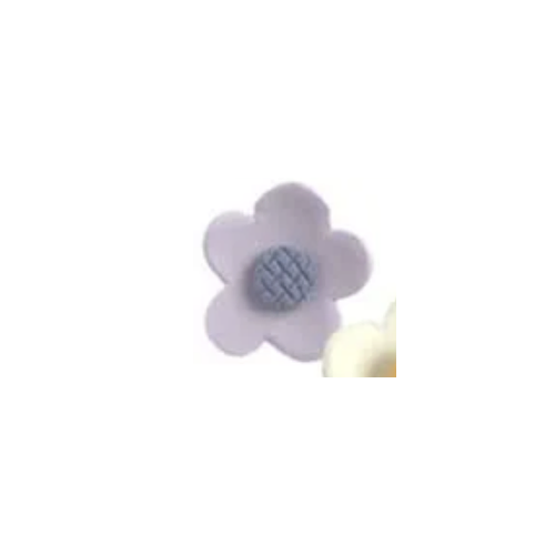Purple Edible Daisy
