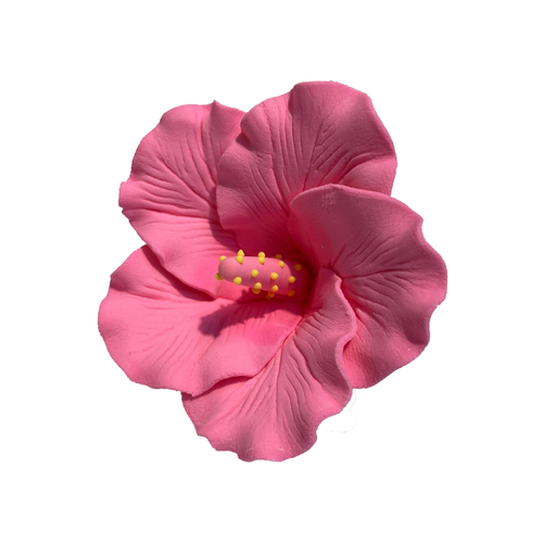 Hibiscus Pink Flower Medium