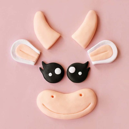 Clay Cow Horns Eyes Mouth And Ears Set